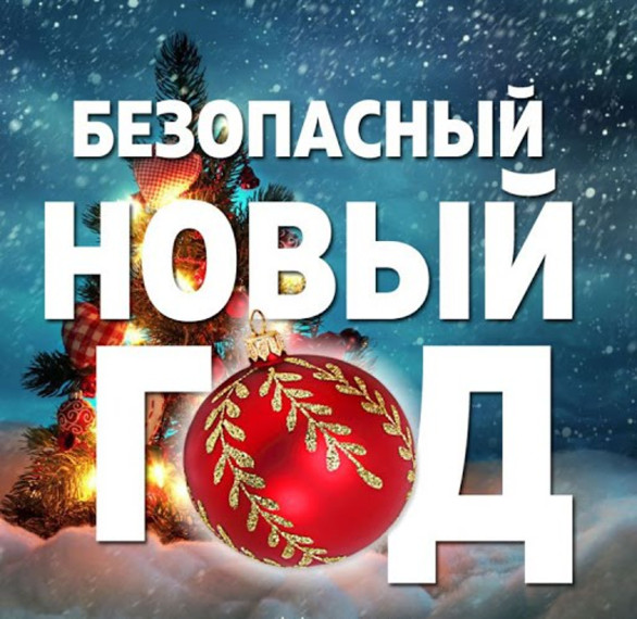 Профилактическая акция «Безопасный Новый Год»..
